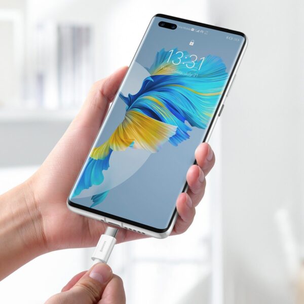 Kábel Baseus Superior Series USB na USB-C, 66 W, 2 m (biely) - Image 7